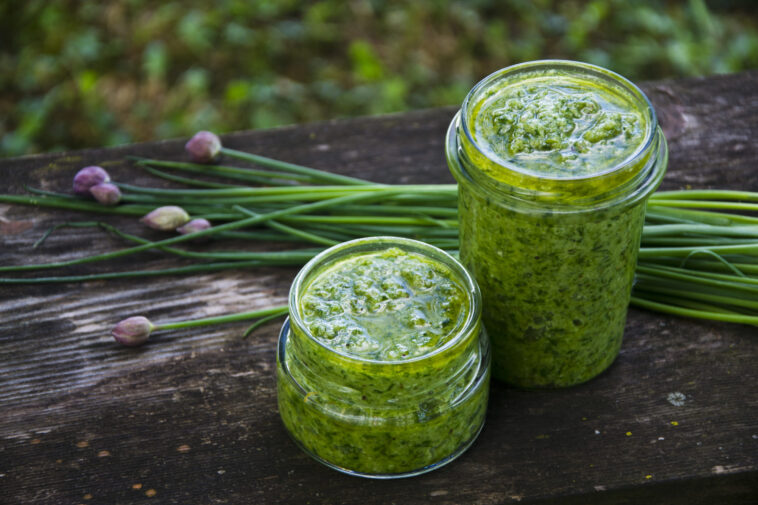 PESTO DI ERBA CIPOLLINA